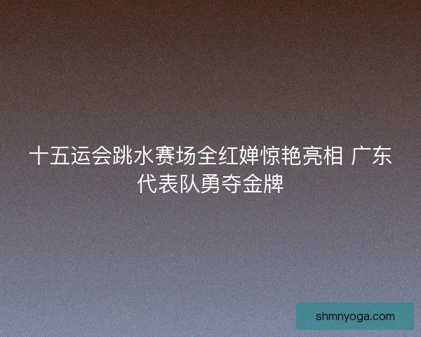 十五运会跳水赛场全红婵惊艳亮相 广东代表队勇夺金牌